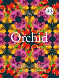 The Orchid