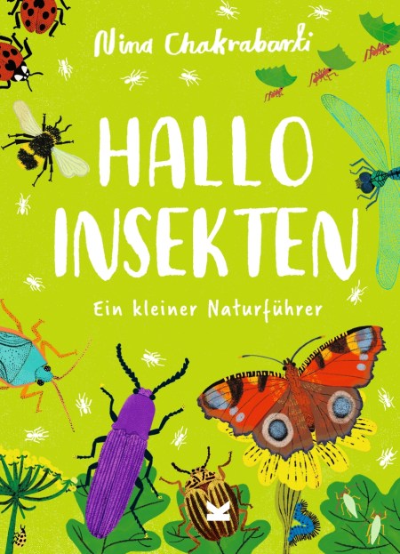 Hallo Insekten