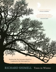 Trees in Winter