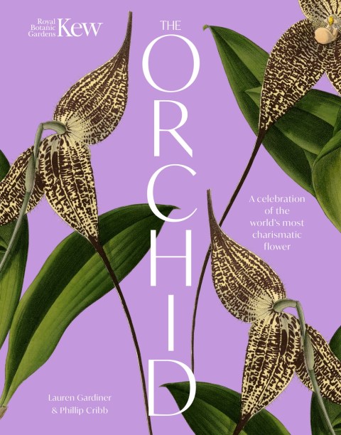 The Orchid