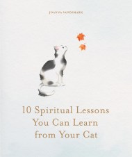 10 Spiritual Lessons You Can Learn from Your Cat
